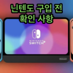 닌텐도 구입 시 확인사항