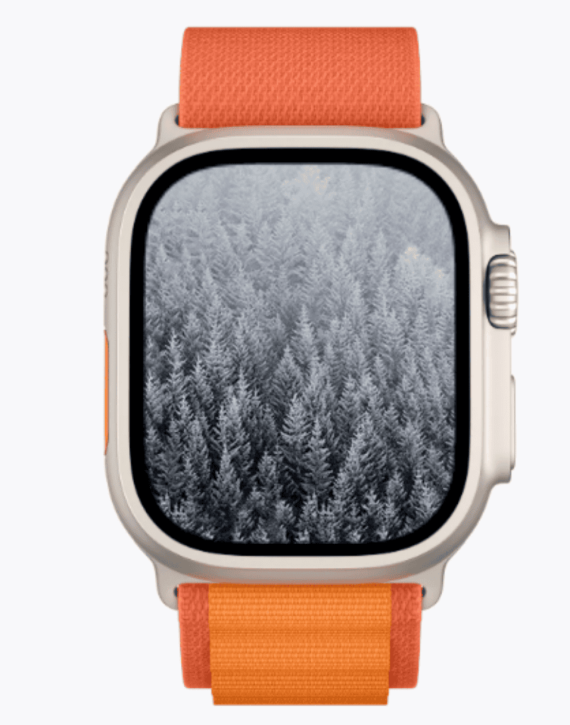 Forest Nature Dial